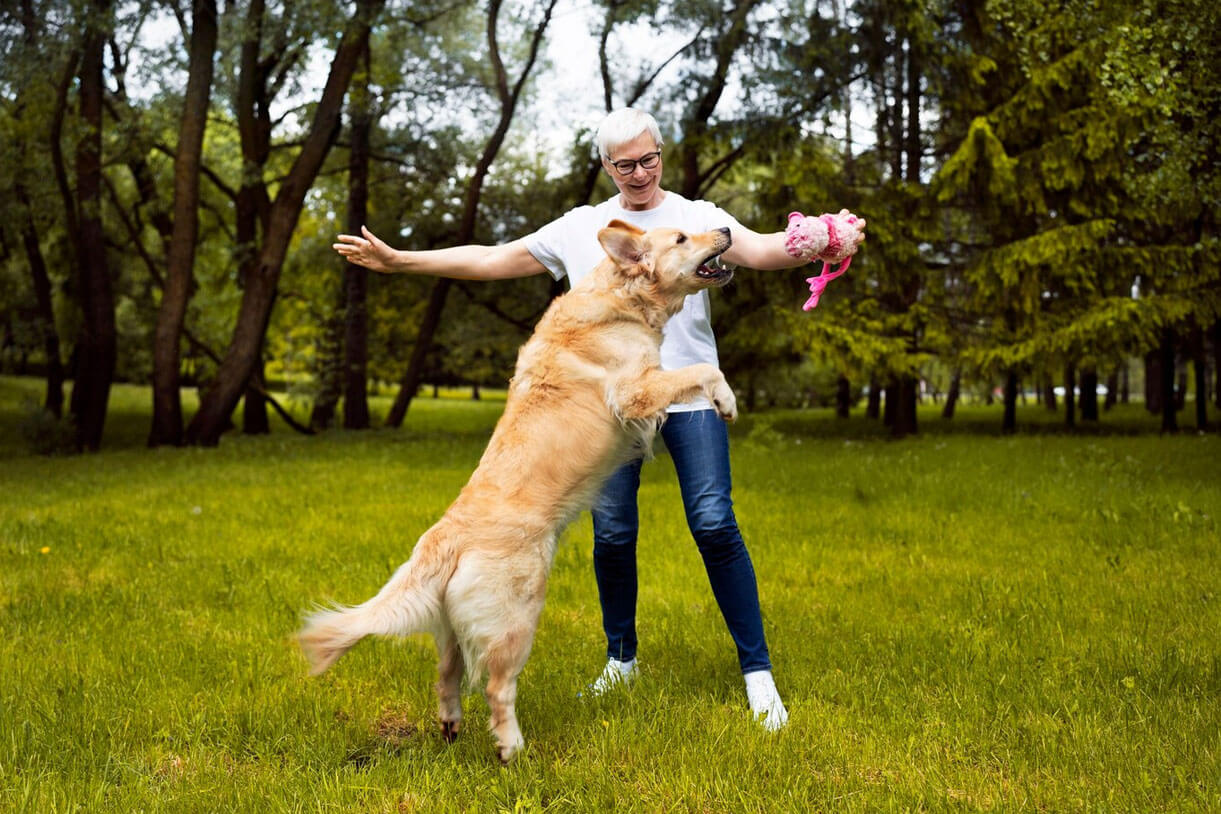 How-Our-Services-Help-Keep-Your-Dog-Active-and-Happy-Featured